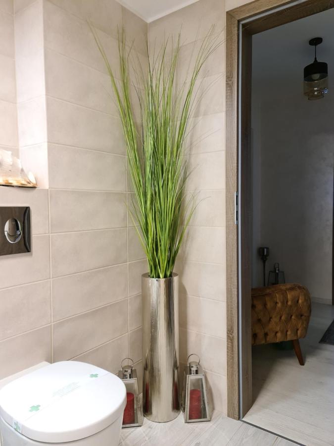 Apartment Alonisos Lux Брашов Экстерьер фото